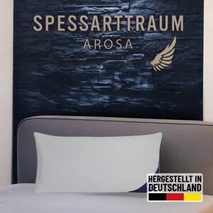 SPESSARTTRAUM Arosa Daunenkopfkissen 40x80 - Kissen SPESSARTTRAUM Arosa Daunenkopfkissen 40x80 - Kissen