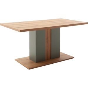 MCA furniture Esstisch »Moniz Säulenesstisch mit Bodenplatte« 1 Stk. tlg. Tisch, Eiche, Salbeigrün,belastbar 50kg, Breite 160cm,4-6 Personen B/H/T: 160 cm x 77 cm x 90 cm Eiche Evoke/ Salbeigrün + Eiche Evoke/ Salbeigrün + Eiche Evoke MCA furniture Esstisch »Moniz Säulenesstisch mit Bodenplatte« 1 Stk. tlg. Tisch, Eiche, Salbeigrün,belastbar 50kg, Breite 160cm,4-6 Personen B/H/T: 160 cm x 77 cm x 90 cm Eiche Evoke/ Salbeigrün + Eiche Evoke/ Salbeigrün + Eiche Evoke