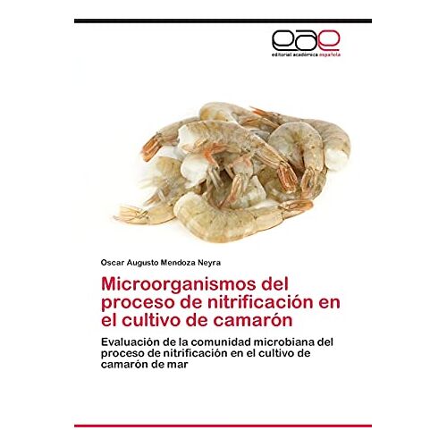 Mendoza Neyra, Oscar Augusto – Microorganismos del proceso de nitrificación en el cultivo de camarón: Evaluación de la comunidad microbiana del proceso de nitrificación en el cultivo de camarón de mar