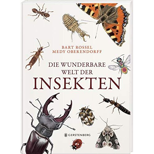 Bart Rossel - Die wunderbare Welt der Insekten
