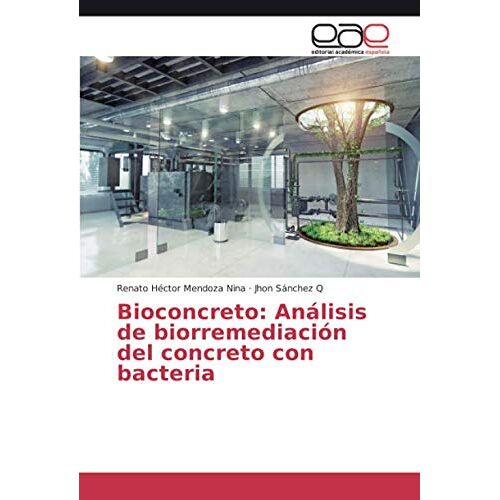 Mendoza Nina, Renato Héctor – Bioconcreto: Análisis de biorremediación del concreto con bacteria