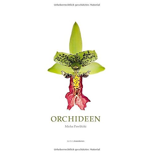 - Orchideen