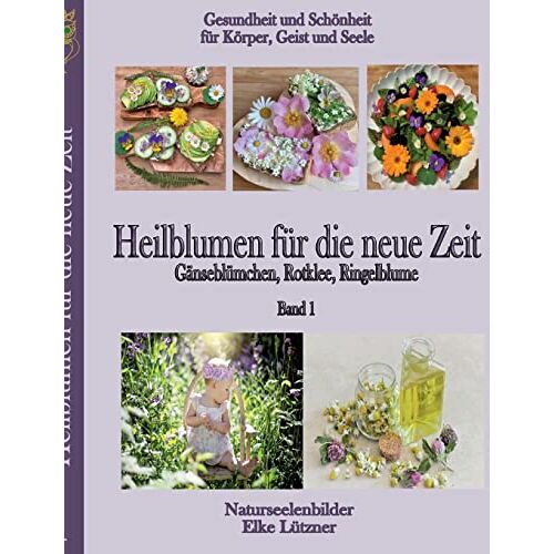 Elke Lützner – Heilblumen für die neue Zeit: Gänseblümchen, Rotklee, Ringelblume