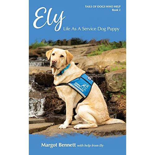 Bennett - Ely, Life As A Service Dog Puppy