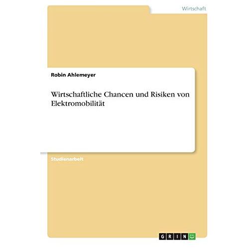 Robin Ahlemeyer – Wirtschaftliche Chancen und Risiken von Elektromobilität