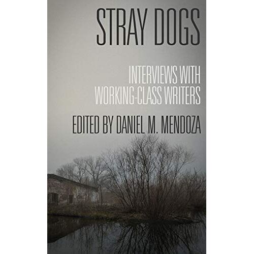 Mendoza, Daniel M. – Stray Dogs: Interviews with Working-Class Writers