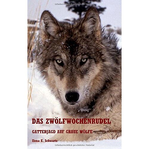 Schwartz, Ilona Elisabeth - Das Zwölfwochenrudel: Gatterjagd auf graue Wölfe