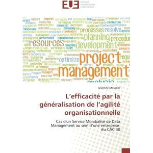 Séverine Meunier - L’efficacité par la généralisation de l’agilité organisationnelle: Cas d'un Service Mondialisé de Data Management au sein d’une entreprise du CAC 40