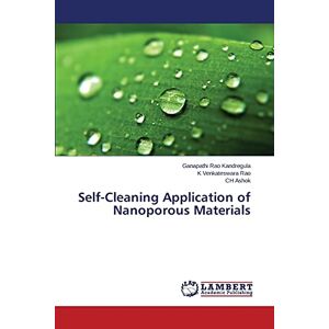 Kandregula, Ganapathi Rao - Self-Cleaning Application of Nanoporous Materials