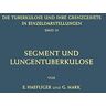 E. Haefliger - Segment und Lungentuberkulose (Die Tuberkulose und ihre Grenzgebiete in Einzeldarstellungen, 10, Band 10)