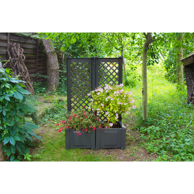 KHW KHW Pflanzkasten 43 cm mit Spalier, anthrazit - 2er Set KHW KHW Pflanzkasten 43 cm mit Spalier, anthrazit - 2er Set