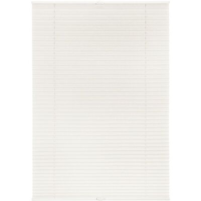 Lichtblick Plissee Klemmfix - Pleated Blind Lichtblick Plissee Klemmfix - Pleated Blind