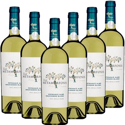 Vitis Metamorfozis METAMORFOSIS Weiße Mädchentraube (Feteascä Alba) & Sauvignon Blanc - 6er Karton Vitis Metamorfozis METAMORFOSIS Weiße Mädchentraube (Feteascä Alba) & Sauvignon Blanc - 6er Karton