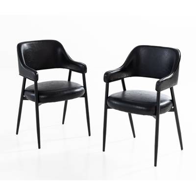 Hardin 1fachgut 2er Set Esstischstühle in matter Lederoptik, ca. 53,5 x 55 x 85 cm - Schwarz Hardin 1fachgut 2er Set Esstischstühle in matter Lederoptik, ca. 53,5 x 55 x 85 cm - Schwarz