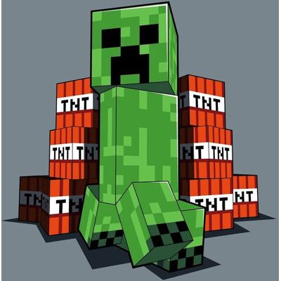 COFI 1453 Minecraft Kuscheldecke – Fleece-Decke 100×150 cm mit Motiv COFI 1453 Minecraft Kuscheldecke – Fleece-Decke 100×150 cm mit Motiv