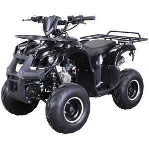 Actionbikes Motors Benzin-Kinderquad S-8 Farmer, 125 ccm, ATV, Not-Aus-Leine, Automatik, Alarmanlage, Scheibenbremse (Schwarz)