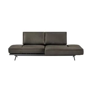 KOINOR Liegensofa  Phoenix ¦ braun ¦ Maße (cm): B: 240 H: 87 T: 132