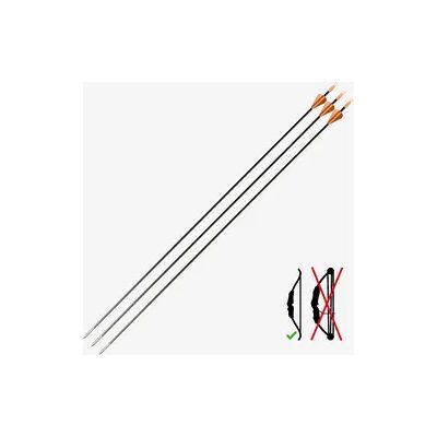 GEOLOGIC Pfeile Discovery 300 ×3 Dreierset Carbon GEOLOGIC Pfeile Discovery 300 ×3 Dreierset Carbon