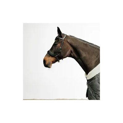 FOUGANZA Gebisslose Trense Pferd/Pony schwarz FOUGANZA Gebisslose Trense Pferd/Pony schwarz
