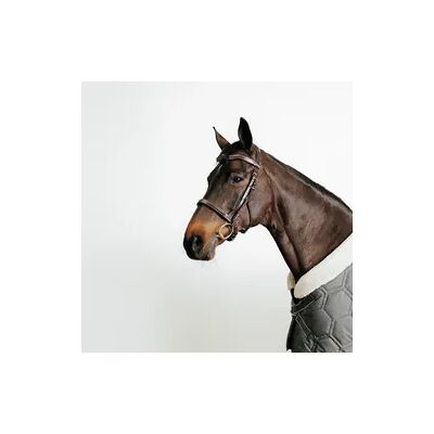 FOUGANZA Trense Leder Pferd/Pony - 900 dunkelbraun FOUGANZA Trense Leder Pferd/Pony - 900 dunkelbraun