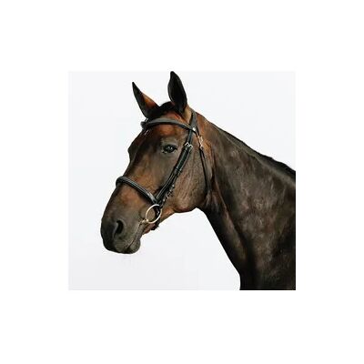 FOUGANZA Trense 580 Ziernähte Leder Pferd/Pony schwarz FOUGANZA Trense 580 Ziernähte Leder Pferd/Pony schwarz