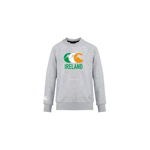 Pullover Canterbury Club Crew grau S
