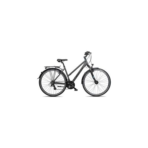 RIVERSIDE City-Trekkingrad 28 Zoll Riverside 320 TR Damen, EINHEITSFARBE, S