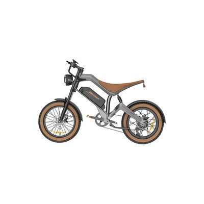 100% ZONVEER M20 Fatbike-E-Bike 100% ZONVEER M20 Fatbike-E-Bike