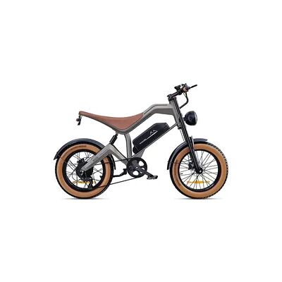 DYU M20 Gelände-E-Bike – 250W Reichweite DYU M20 Gelände-E-Bike – 250W Reichweite