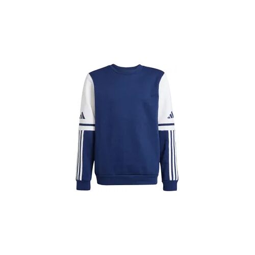 Adidas Kinder Pullover Squadra 25 SW CREW Y blau 176 cm