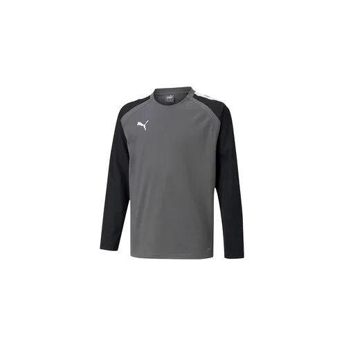 Puma Kinder Pullover teamLIGA Training Sweat Jr 657239 grau 164 cm