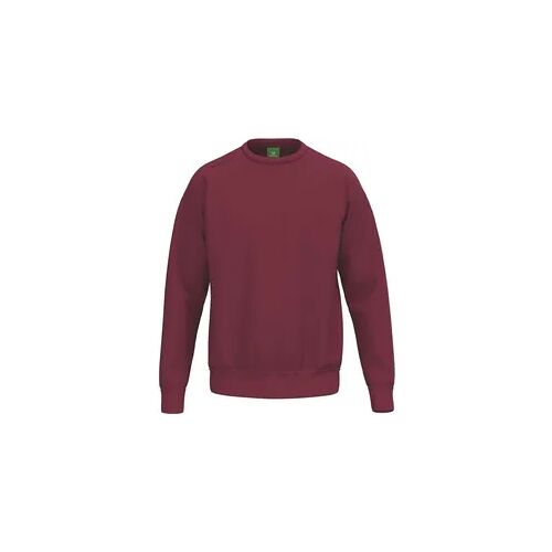 erima Kinder Pullover TS Sweatshirt rot 128 cm