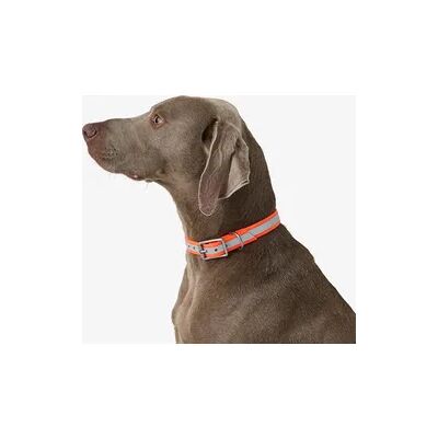 SOLOGNAC Hundehalsband 500 reflektierend orange SOLOGNAC Hundehalsband 500 reflektierend orange
