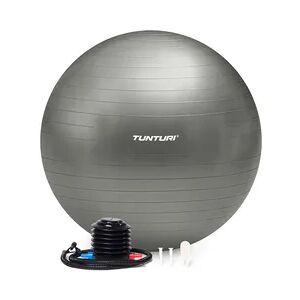 Tunturi Gymball 65cm Silber - Fitnessball Tunturi Gymball 65cm Silber - Fitnessball