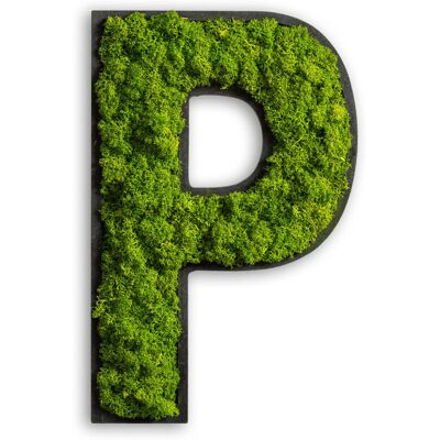 styleGREEN Piktogramm Buchstabe Islandmoos; 25x16 cm (LxB); grün; Prägung P styleGREEN Piktogramm Buchstabe Islandmoos; 25x16 cm (LxB); grün; Prägung P