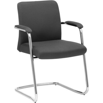 Mayer Sitzmöbel Konferenzstuhl Besucherstuhl Freischwinger; 60.5x58x86 cm (BxTxH); Sitz graphit Mayer Sitzmöbel Konferenzstuhl Besucherstuhl Freischwinger; 60.5x58x86 cm (BxTxH); Sitz graphit