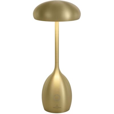 Villeroy & Boch TRIEST - Akku-Tischleuchte; 10.5x25 cm (ØxH); gold Villeroy & Boch TRIEST - Akku-Tischleuchte; 10.5x25 cm (ØxH); gold