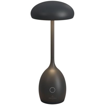 Villeroy & Boch TRIEST - Akku-Tischleuchte; 10.5x25 cm (ØxH); schwarz Villeroy & Boch TRIEST - Akku-Tischleuchte; 10.5x25 cm (ØxH); schwarz