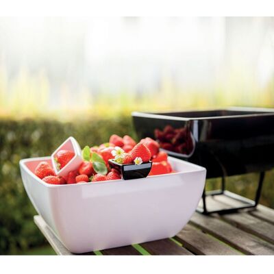Assheuer und Pott Pure Melamin Salatschale - 8L, 32x32cm, Weiß Assheuer und Pott Pure Melamin Salatschale - 8L, 32x32cm, Weiß