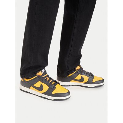 Sneakers Nike Dunk Low Retro HF5441 700 Orange 44 male Sneakers Nike Dunk Low Retro HF5441 700 Orange 44 male