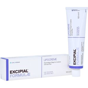 Galderma Laboratorium GmbH EXCIPIAL Lipocreme 100 Milliliter