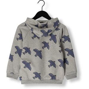 Carlijnq Sweatshirt Free Like A Bird - Hoodie Sweater Grau Jungen Grau  110/116