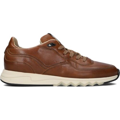 Floris Van Bommel Sneaker Low Sfm-10128 Cognac Herren Cognac Leder 41⅓