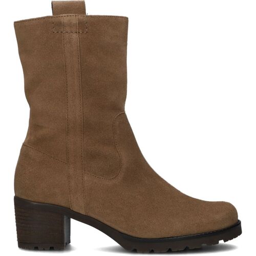 Gabor Stiefeletten 806 Cognac Damen Cognac Wildleder 35