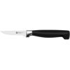 zwilling vier sterne 7