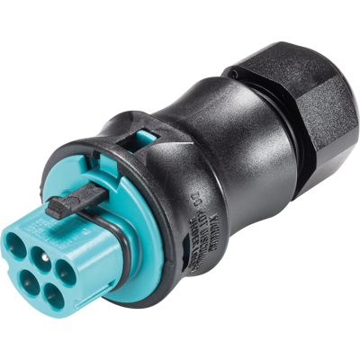 WIELAND - RST20I5 KS1 TB - Türkisblau - Rundstecker WIELAND - RST20I5 KS1 TB - Türkisblau - Rundstecker