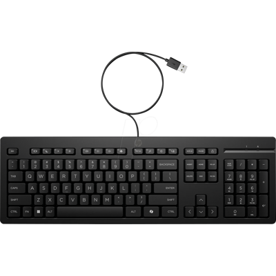 Hewlett Packard HP AY2Y7AA - Tastatur, USB, schwarz, QWERTZ Hewlett Packard HP AY2Y7AA - Tastatur, USB, schwarz, QWERTZ
