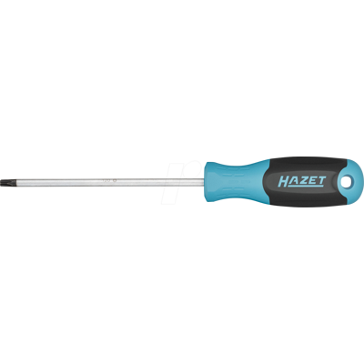 Hazet 811-T20 Werkstatt Torx Schraubenzieher T20 - 100mm Hazet 811-T20 Werkstatt Torx Schraubenzieher T20 - 100mm