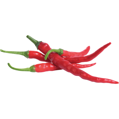VERITABLE VER L5-PIM018 - Indoor Garden, Pfefferschote "Cayenne" VERITABLE VER L5-PIM018 - Indoor Garden, Pfefferschote "Cayenne"