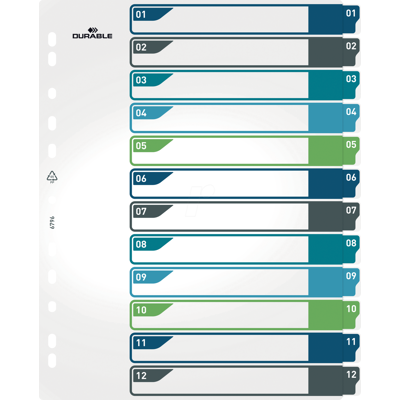 DURABLE 679627 - Kunststoffregister, A4 (1-12), mehrfarbig DURABLE 679627 - Kunststoffregister, A4 (1-12), mehrfarbig